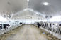 Высокий лоск печатая 5мм - панели потолка ПВК 10мм для фермы КЭ огораживают/крыши
